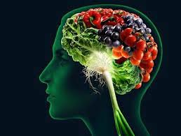 Veja os alimentos que ajudam seu Sistema Nervoso na esclerose múltipla, ansiedade e enxaqueca